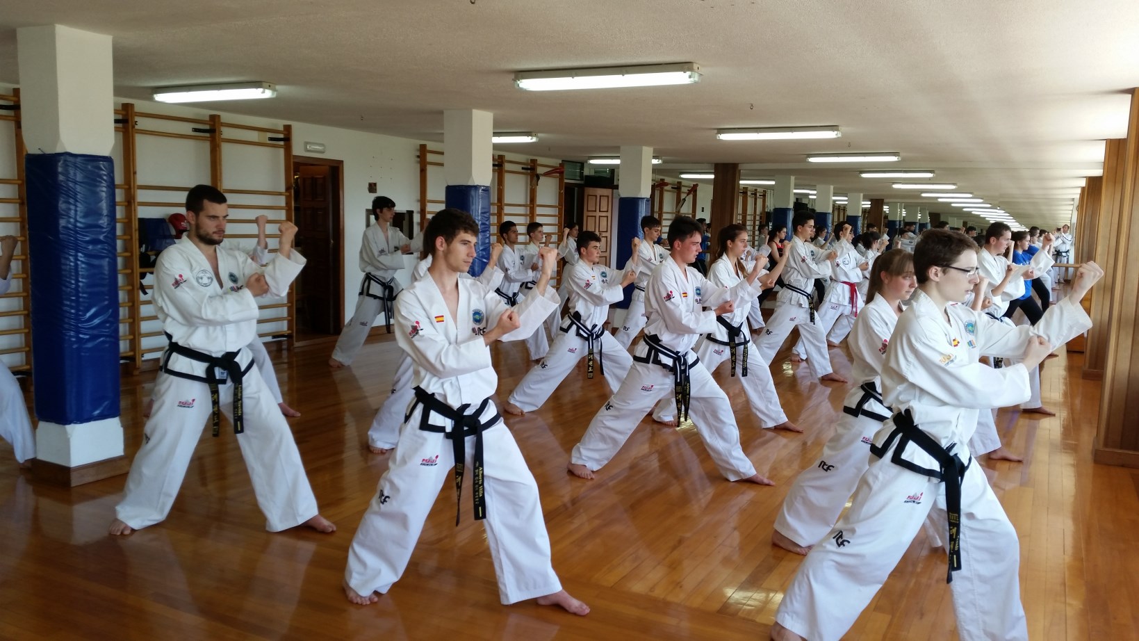 Roquetas 2015 (4).jpg